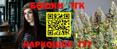 дмт Сланцы