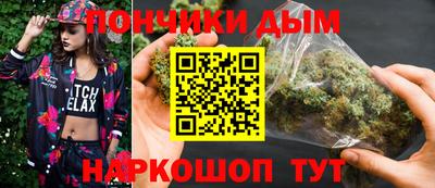 дмт Сланцы