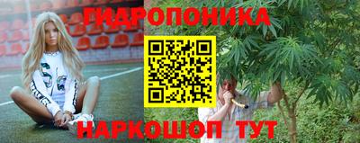 дмт Сланцы