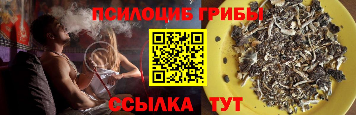 Галлюциногенные грибы ЛСД Оренбург