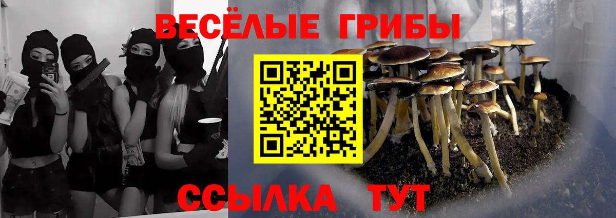 Оренбург  Псилоцибиновые грибы мицелий  Вход с VPN 